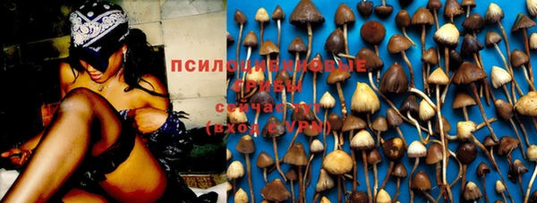 стафф Богородск