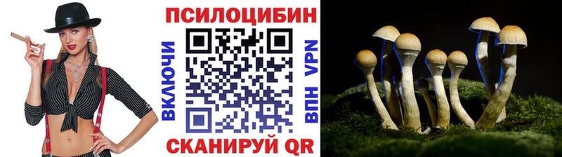 цены   Гаврилов-Ям  Галлюциногенные грибы мицелий 